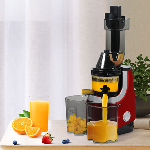 Oakleigh Home Tane Cold Press Juicer | Temple & Webster