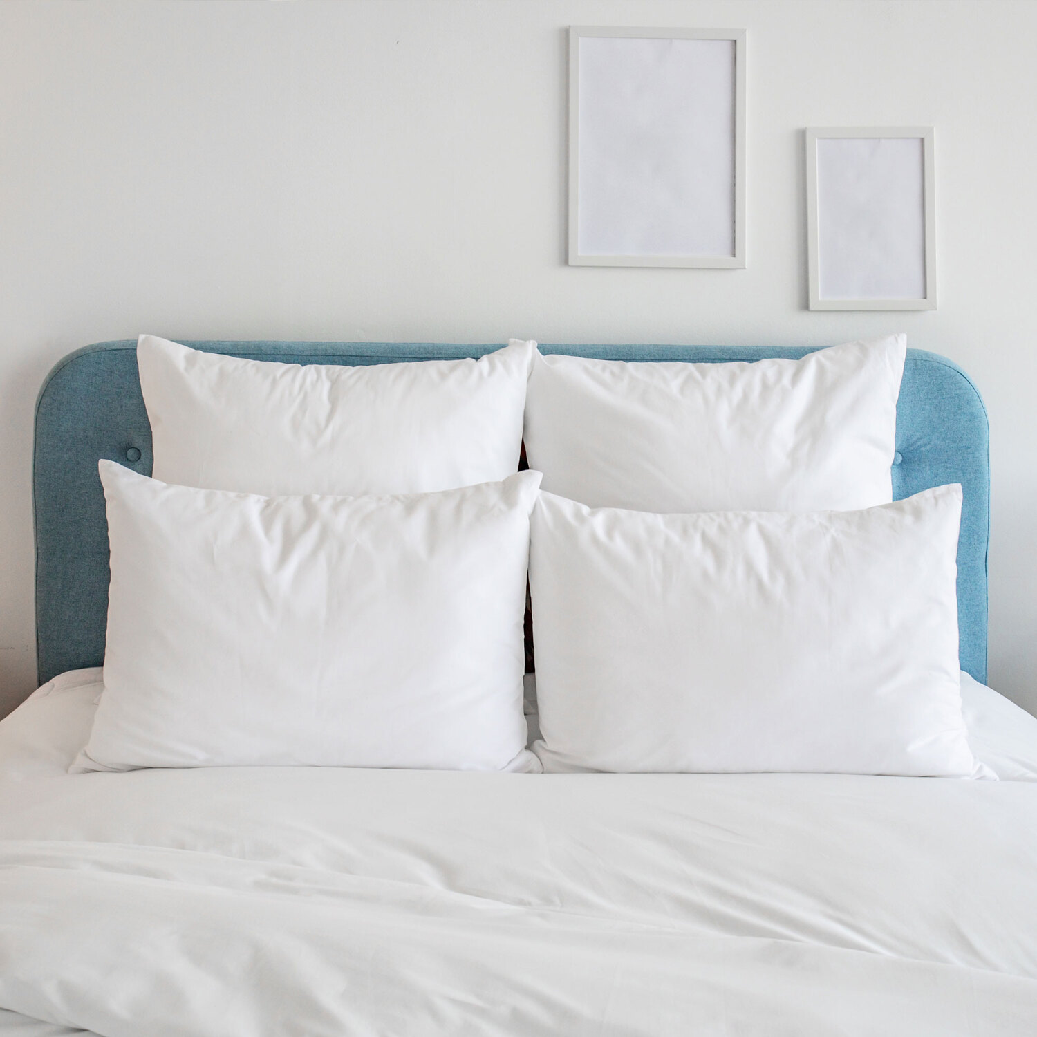 Tayce Medium-Firm Pillows