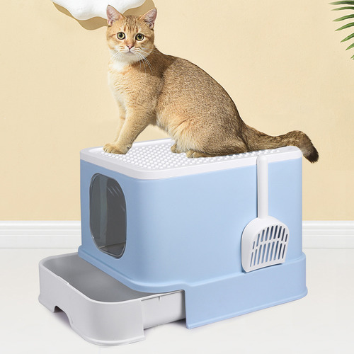 Oakleigh Home Kali Cat Litter Box | Temple & Webster