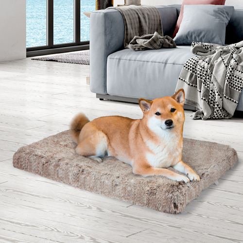 Oakleigh Home Max Memory Foam Pet Cushion | Temple & Webster