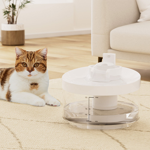 2.2L Popeye Pet Water Fountain