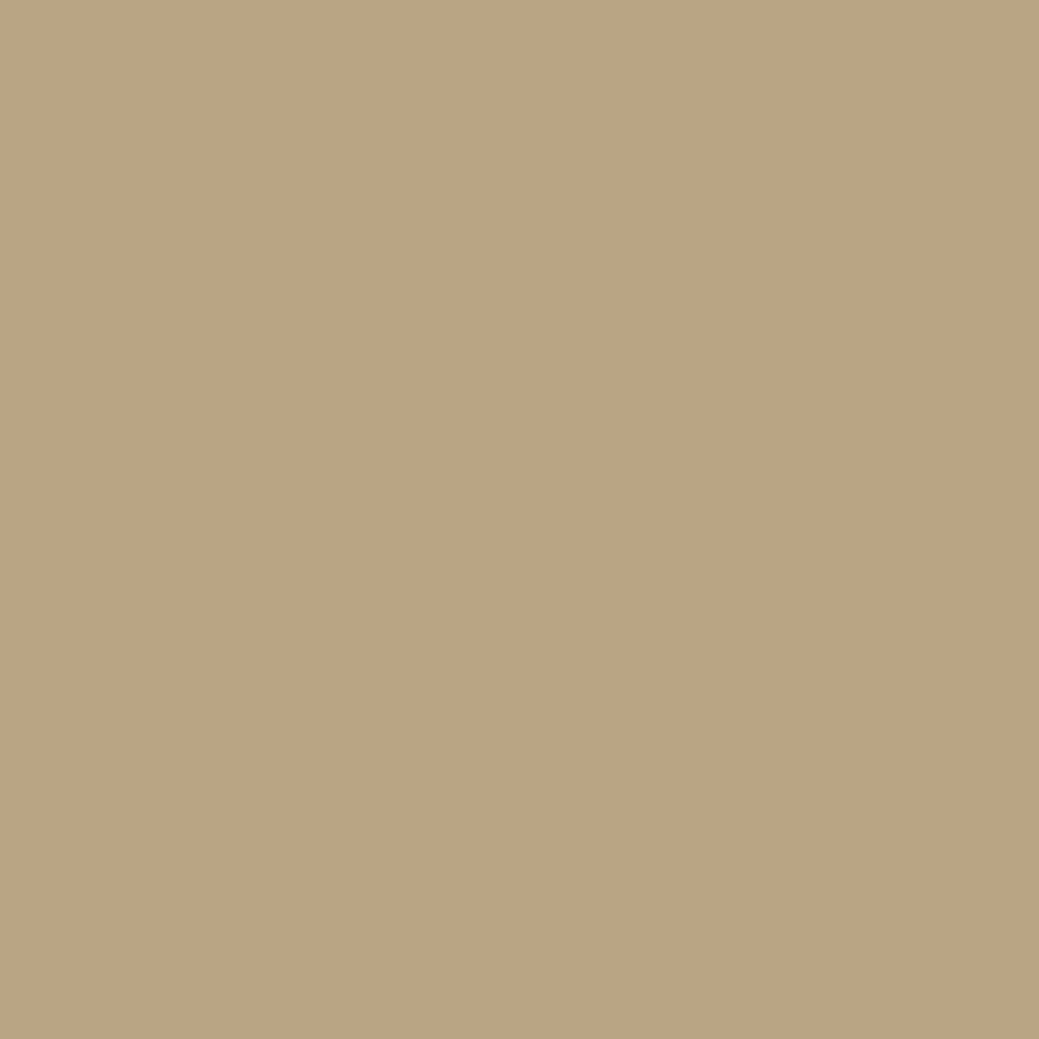 Andras 500 x 500mm Polypropylene Carpet Tile