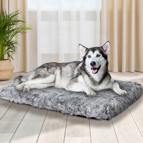 Strobel Memory Foam Pet Bed