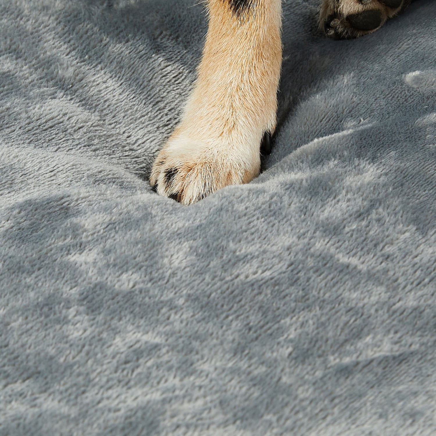 Hammond Orthopedic Pet Bed