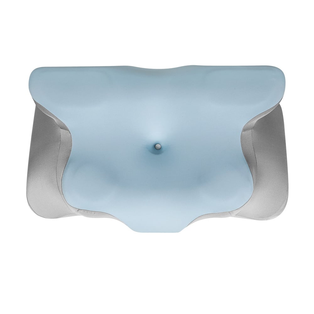 Blue Pryden Memory Foam Pillow