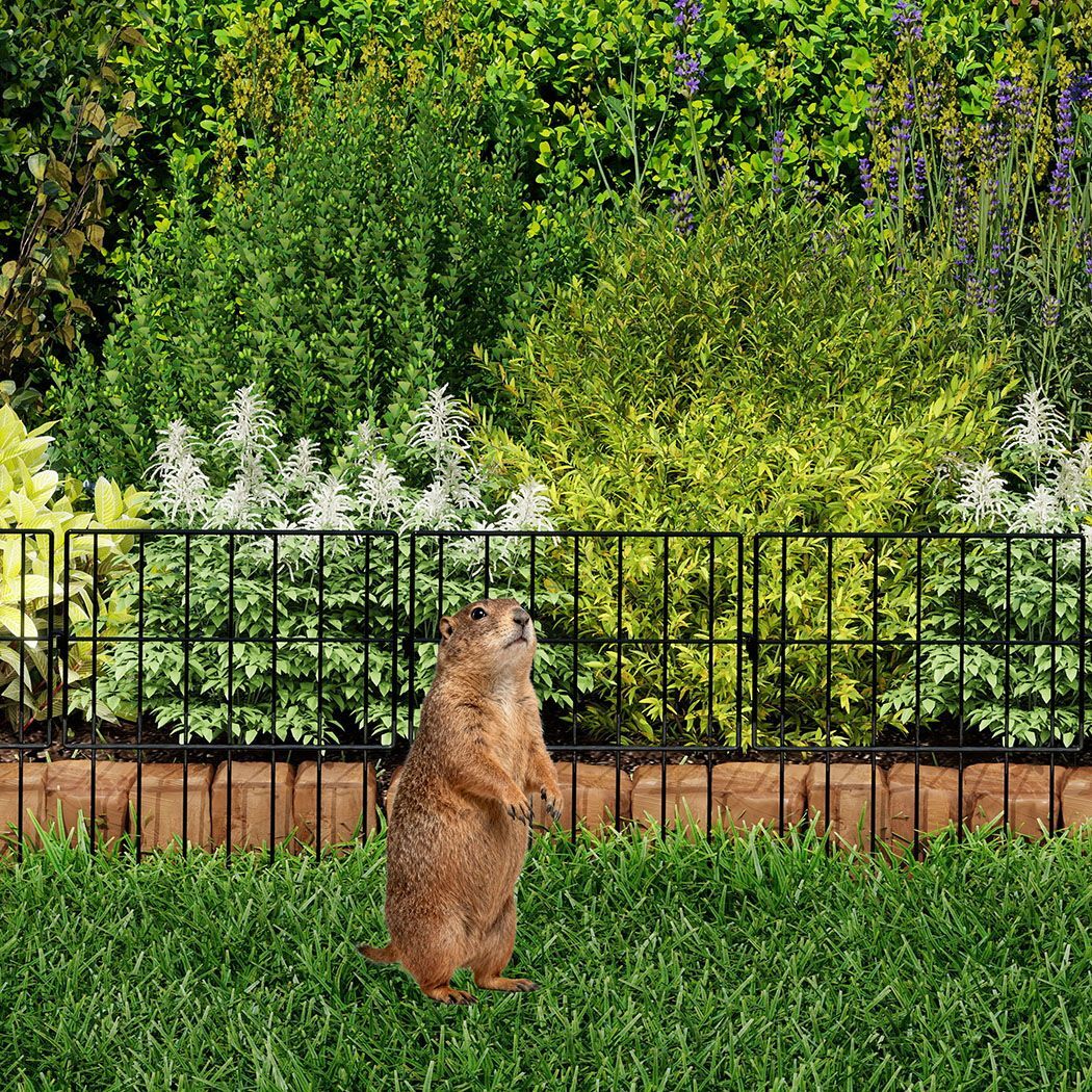 Renzo Decorative Garden Fence