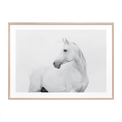 Horse Lover Framed Print