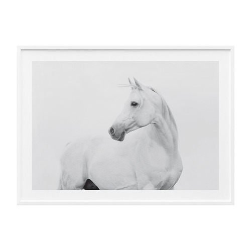 Horse Lover Framed Print