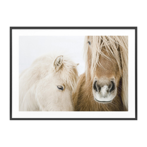 Wild Ponies Framed Print