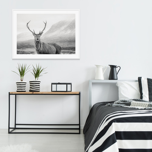 Wild Stag Framed Print