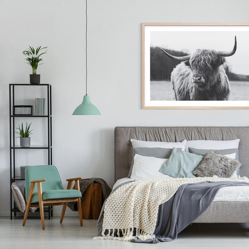 Highland Cow Framed Print