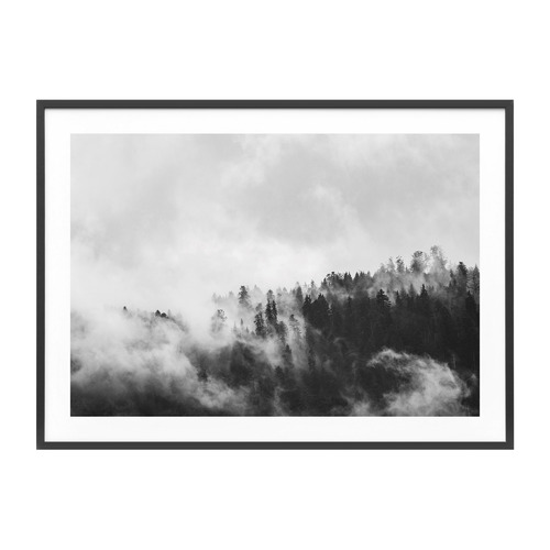 Le Concept Art Misty Forest Framed Print | Temple & Webster