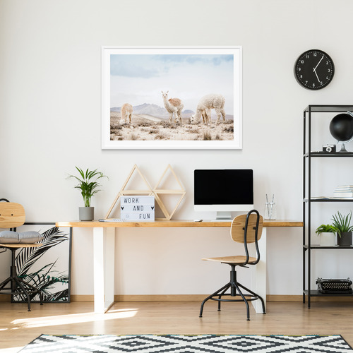 Three Llamas Framed Print