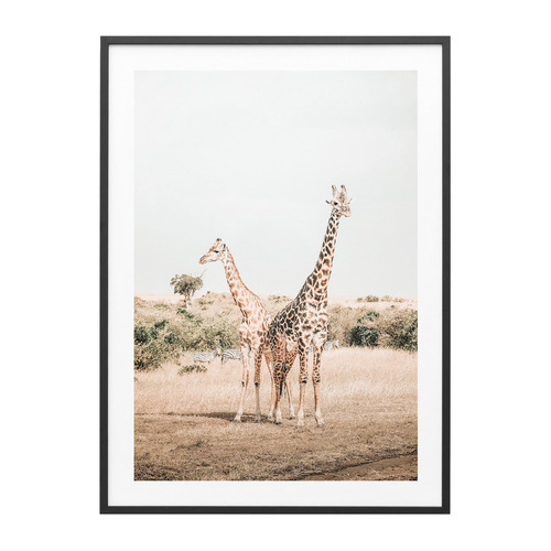 Giraffe Goals Framed Print