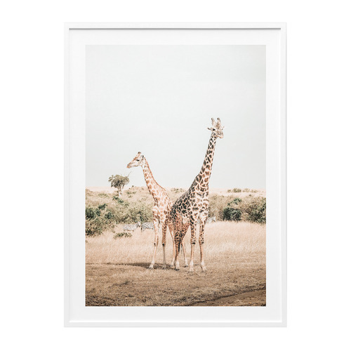 Giraffe Goals Framed Print
