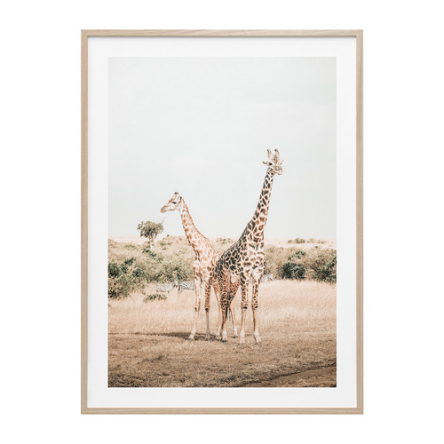 Giraffe Goals Framed Print