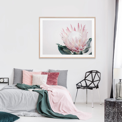King Protea II Framed Print
