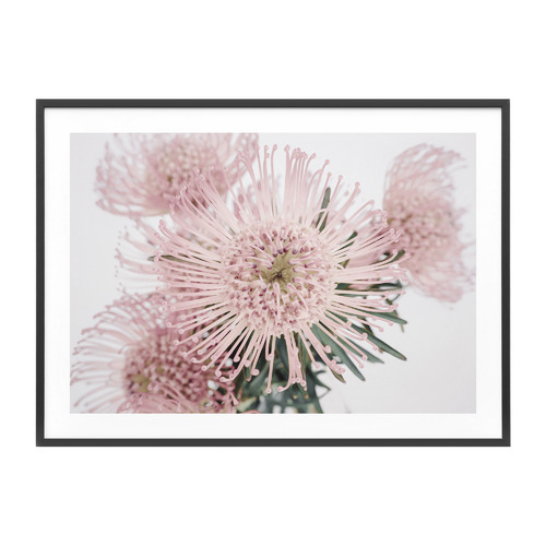 Pincushion Framed Print