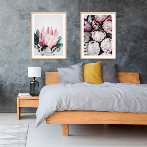 Blush Protea Framed Print
