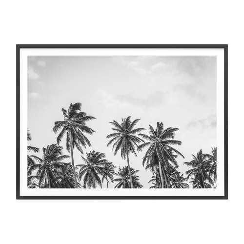 Hawaii Palms Framed Print