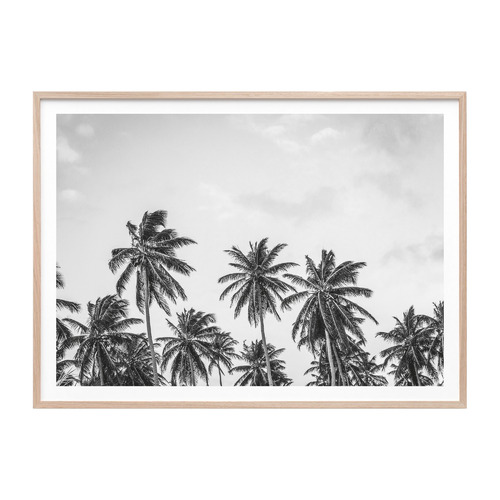 41Orchard Hawaii Palms Framed Print | Temple & Webster