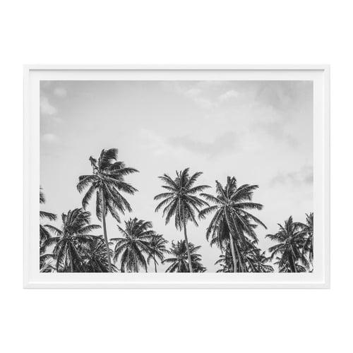 Hawaii Palms Framed Print