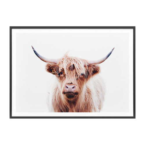 Le Concept Art Duncan Highland Cow Framed Print | Temple & Webster