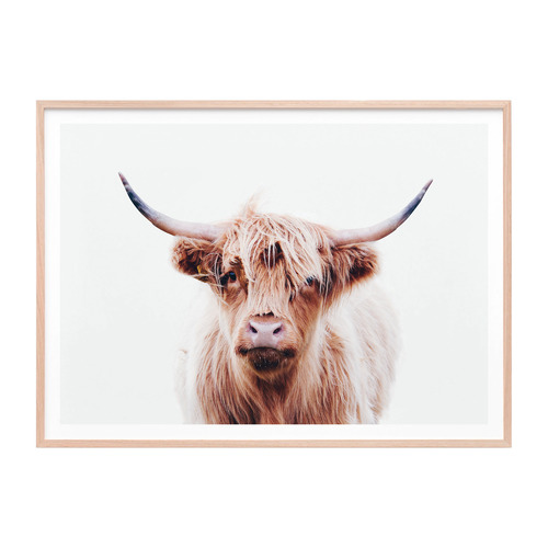 Le Concept Art Duncan Highland Cow Framed Print Temple & ster