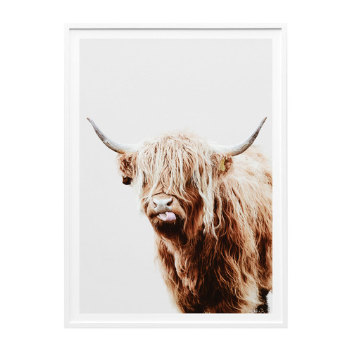 Le Concept Art Dougal Highland Cow Framed Print Temple & ster