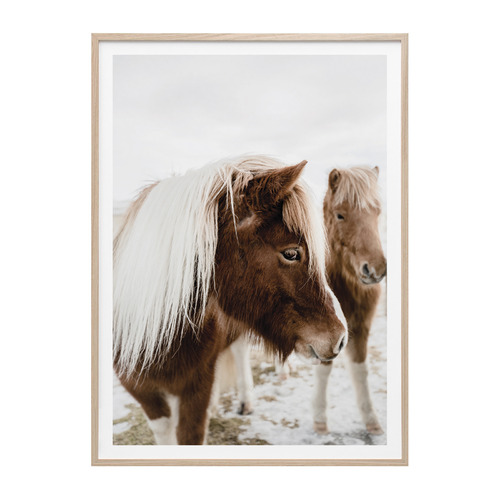 Wild Horse No 2 Framed Print