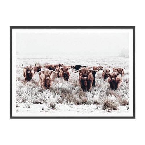 Highland Tribe Framed Print