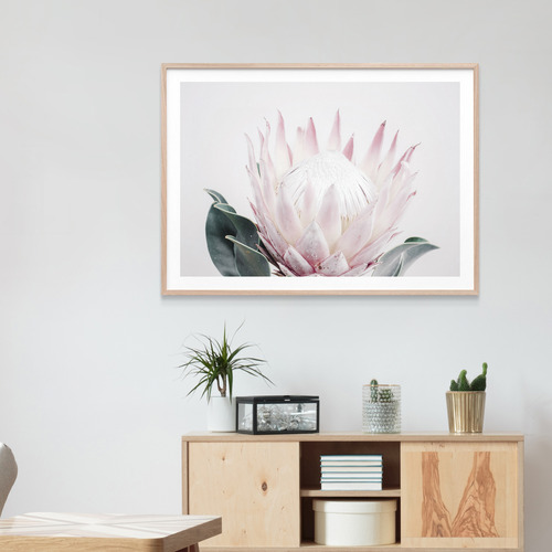 Le Concept Art King Protea Framed Print | Temple & Webster