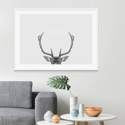 Deer Antlers Framed Print
