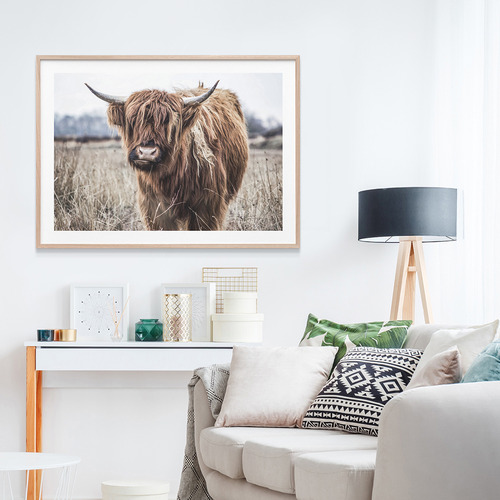 Le Concept Art Scottish Cow Framed Print 