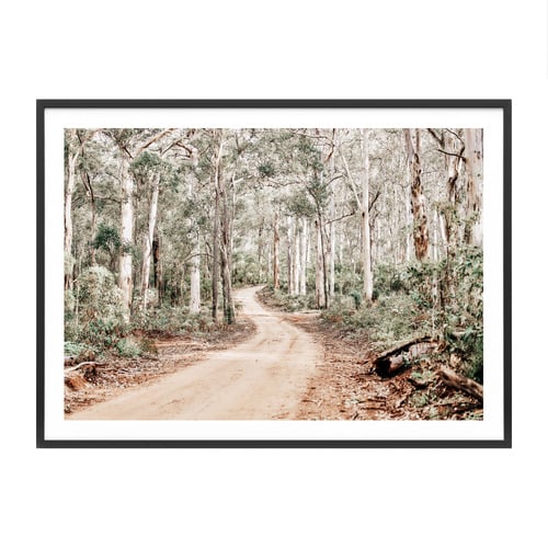 Bush Tracks Framed Paper Print Wall Art