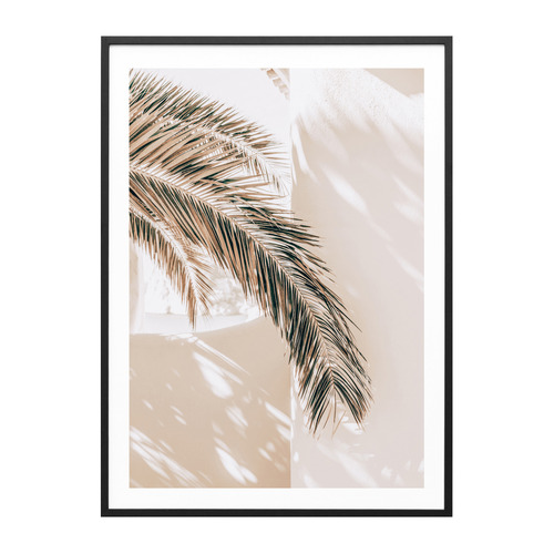 Shaded Palm Framed Paper Print Wall Art