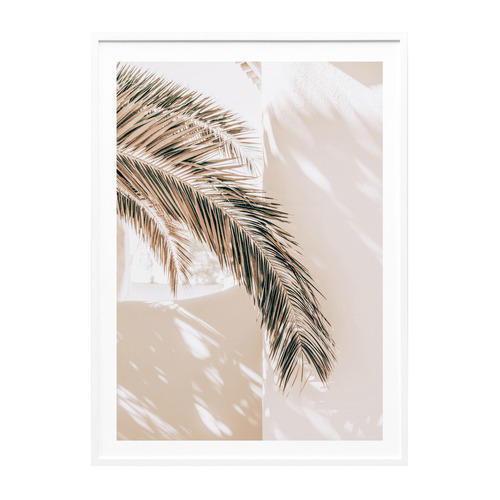 Shaded Palm Framed Paper Print Wall Art