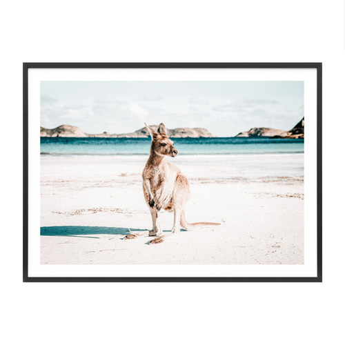 Beach Paws Framed Paper Print Wall Art