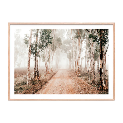 Winter Gums Framed Paper Print Wall Art