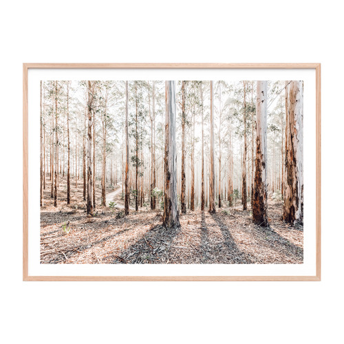 Eucalyptus Landscape Framed Paper Print Wall Art