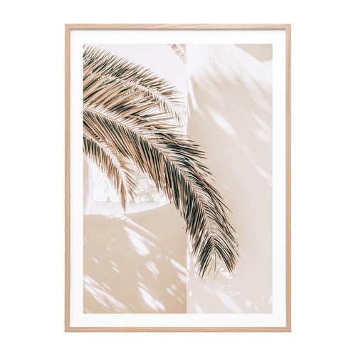 Shaded Palm Framed Paper Print Wall Art