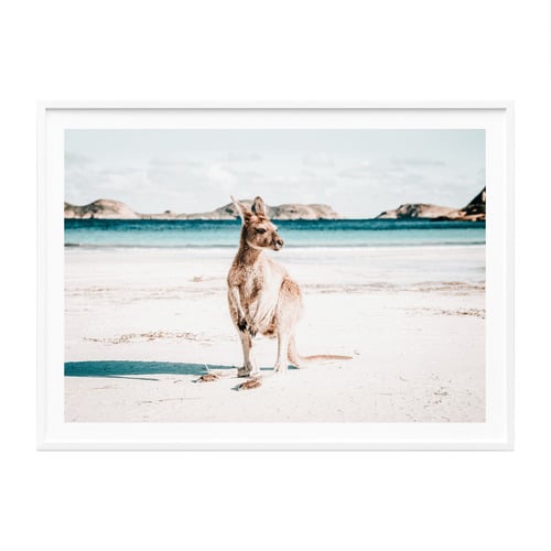 Beach Paws Framed Paper Print Wall Art