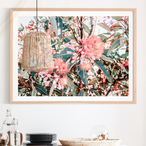 Australian Florals Framed Paper Print Wall Art