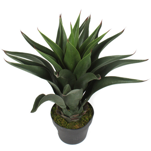 60cm Potted Faux Agave Plant Temple & ster