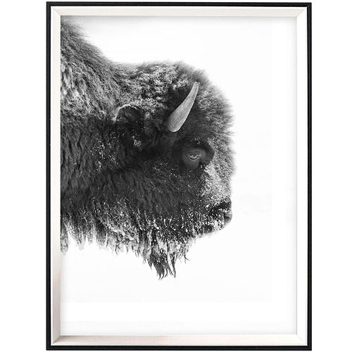 Profile Bison Framed Printed Wall Art Temple Webster