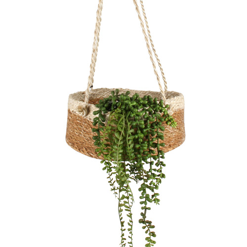 3 Piece Airlie Jute & Seagrass Hanging Planter Set