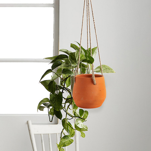 Amiina Hanging Planter