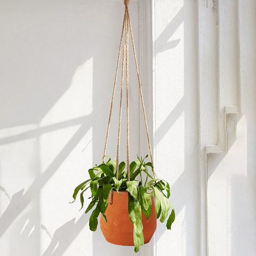 Amiina Hanging Planter