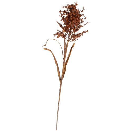 Broomcorn Spray Dark Coffee