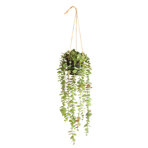 Papaya&Patina 50cm Potted Faux Eucalyptus Hanging Plant | Temple & Webster